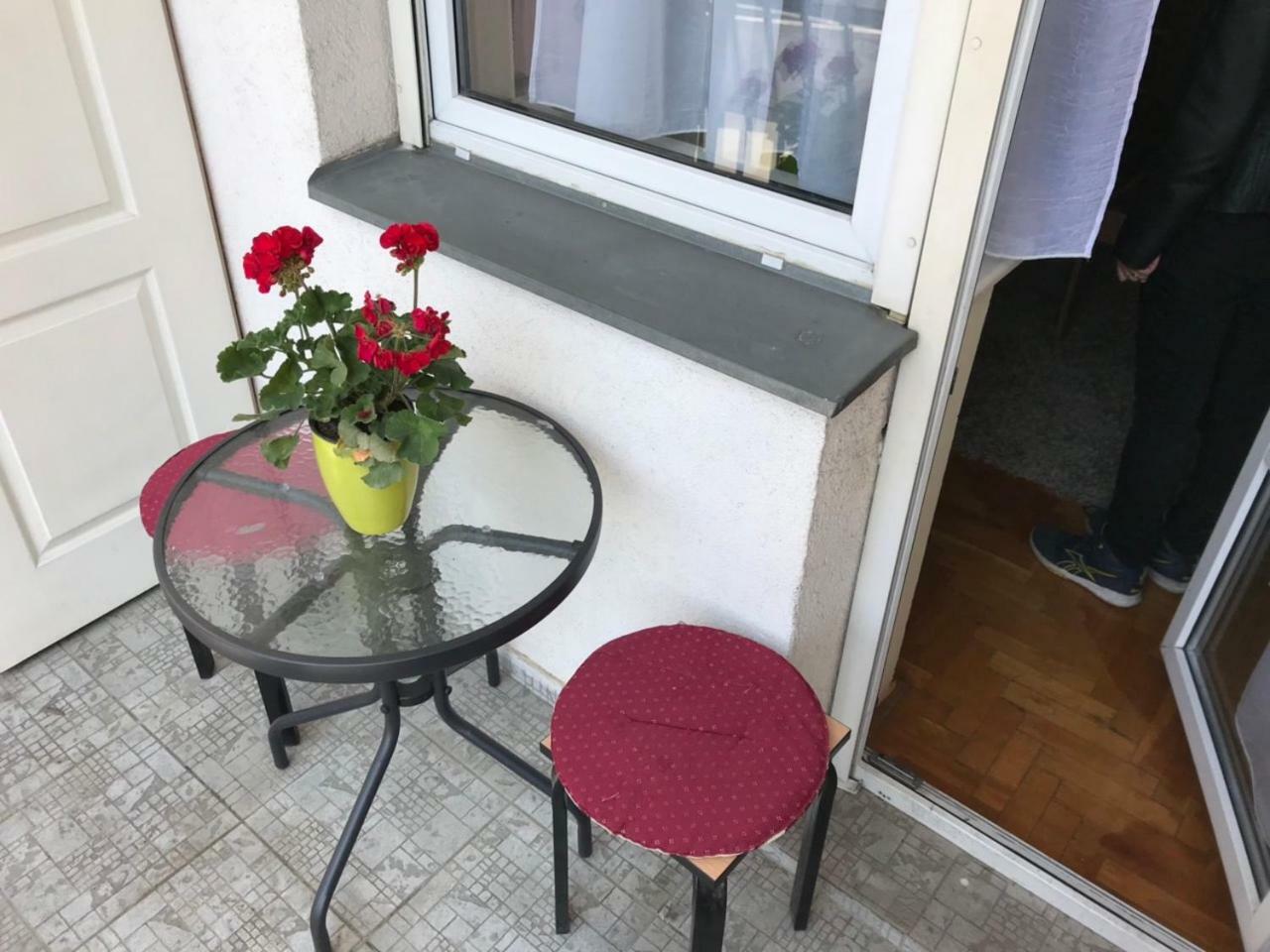 Tina Sajam Studio Novi Sad Dış mekan fotoğraf